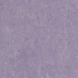 violet_1871649